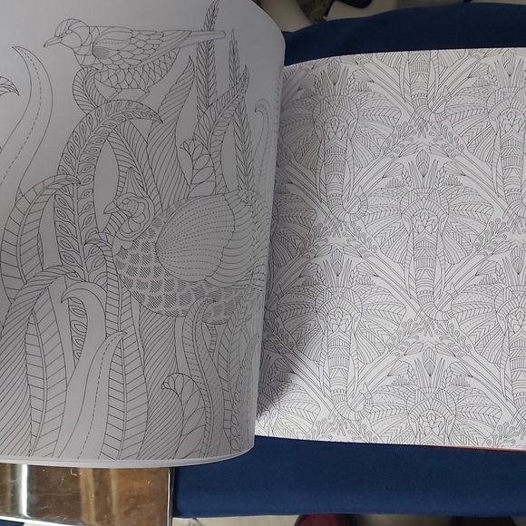 𝅺coloring book Wild Savannah - Picture 6 of 7